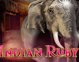 Indian Ruby kostenlos spielen