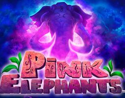 Pink Elephants kostenlos spielen